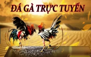 Hướng Dẫn Cách Chơi Đá Gà GA28 Tại SV388 Chuẩn Xác Nhất