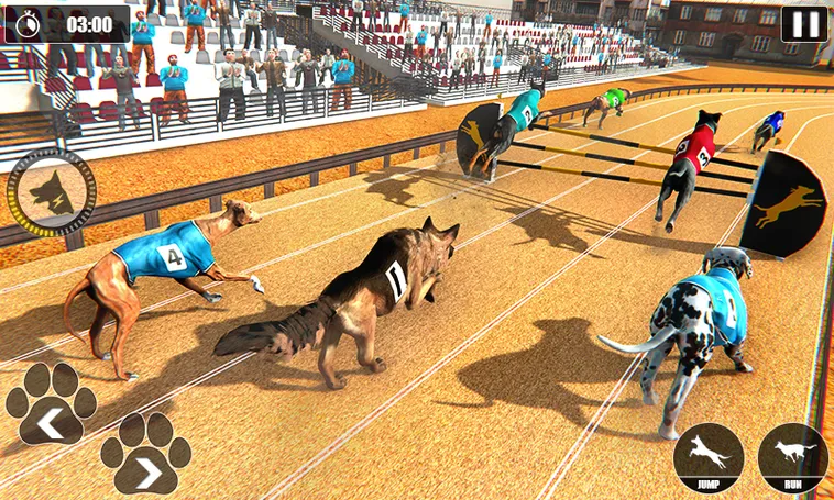 Hướng Dẫn Chơi Game Nhanh Đua Chó Tại SV388: Cơ Hội Thắng Lớn