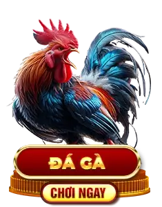 img da ga
